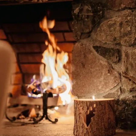 A&y Zum Goldenen Hirsch By Interhome 度假居 达沃斯