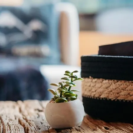 A&y Zum Goldenen Hirsch By Interhome 度假居