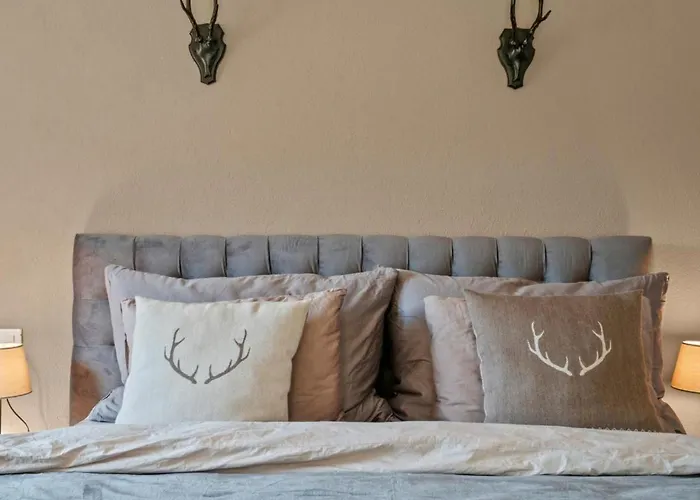 度假居 A&y Zum Goldenen Hirsch By Interhome 达沃斯