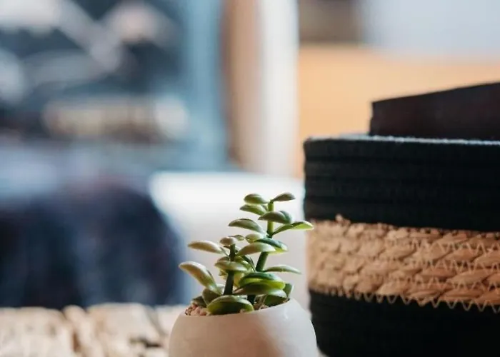 A&y Zum Goldenen Hirsch By Interhome 度假居